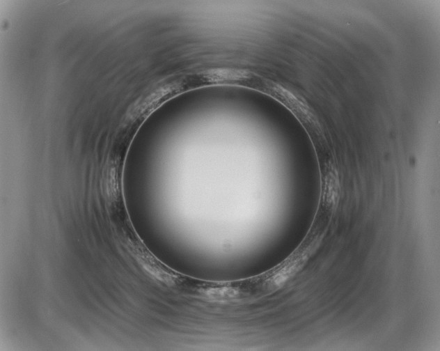 X0000086090426200703231435