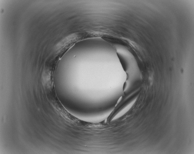 X0000086090428200703231435