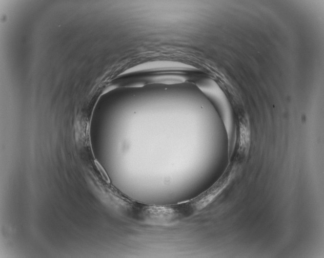 X0000086090429200703231435