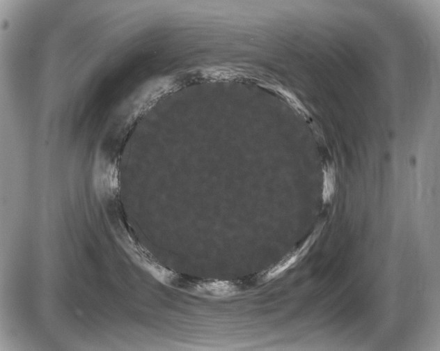 X0000086090431200703231435