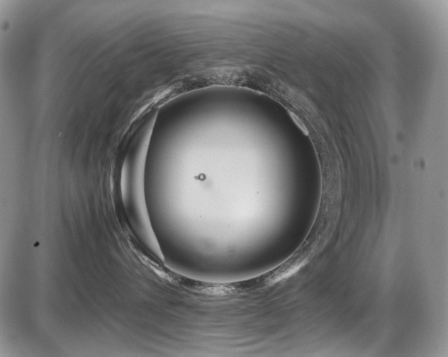X0000086090432200703231435