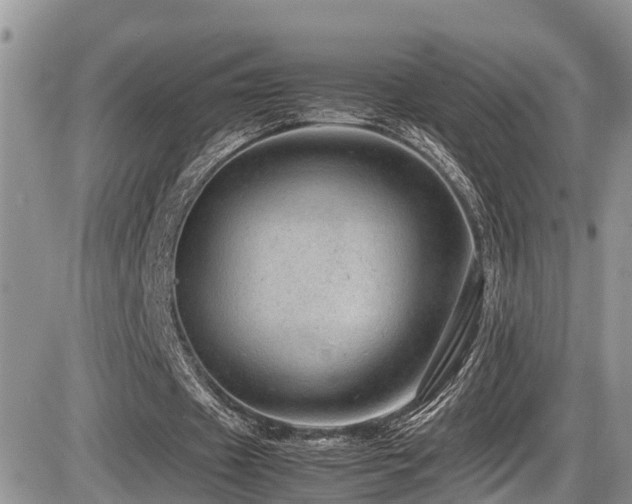X0000086090433200703231434