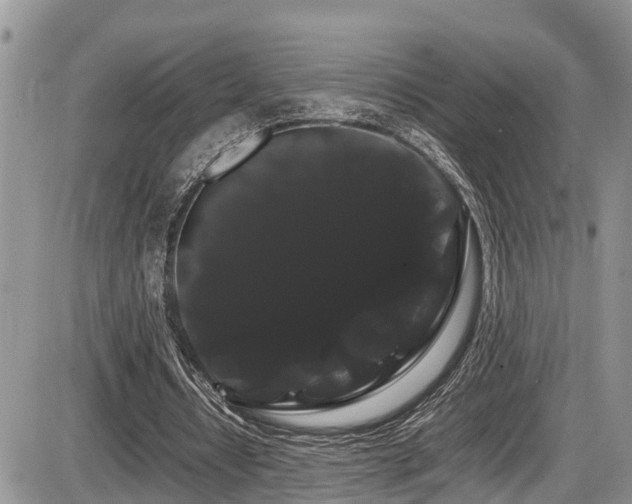 X0000086090434200703231434