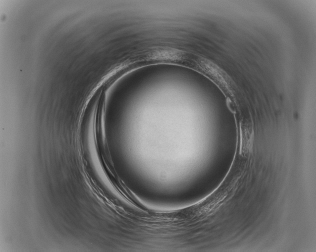 X0000086090435200703231434