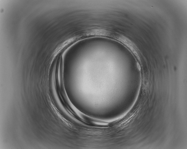 X0000086090437200703231434