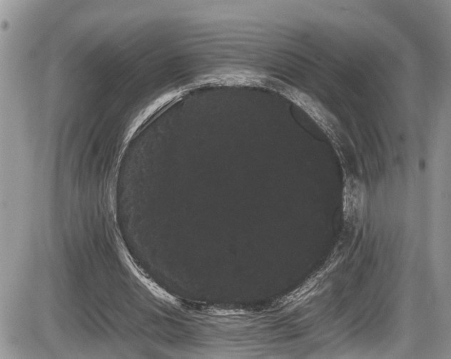 X0000086090438200703231434