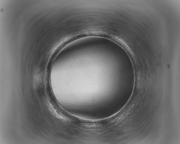 X0000086090439200703231434