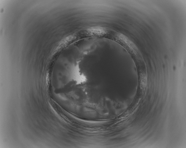X0000086090451200703231434