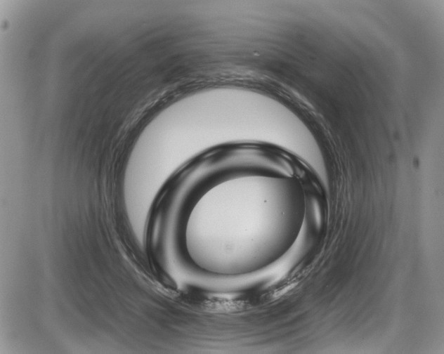 X0000086090452200703231434