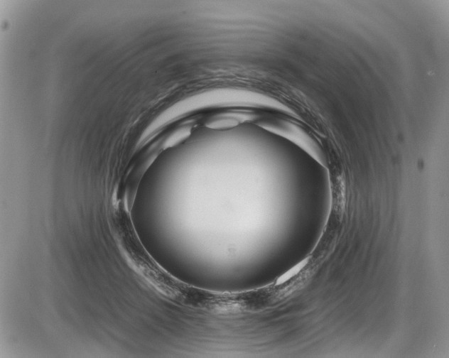 X0000086090456200703231434