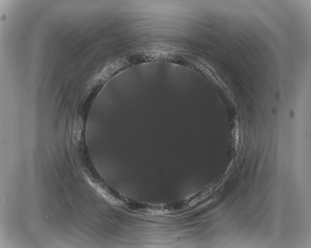 X0000086090458200703231434