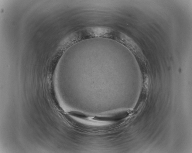 X0000086090461200703231434