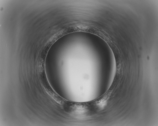 X0000086090464200703231435
