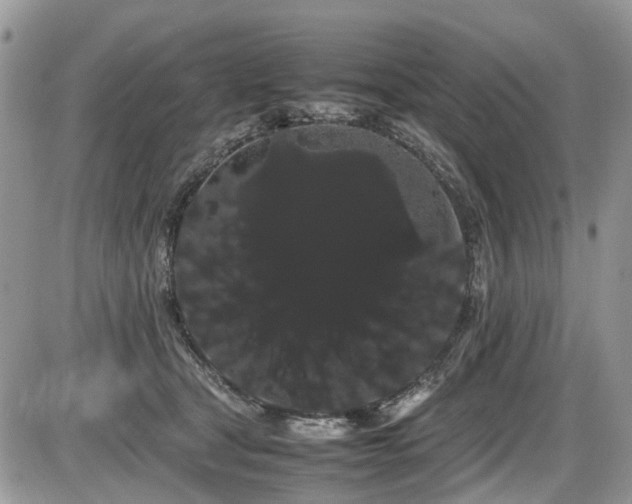X0000086090465200703231435