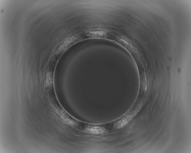 X0000086090467200703231435