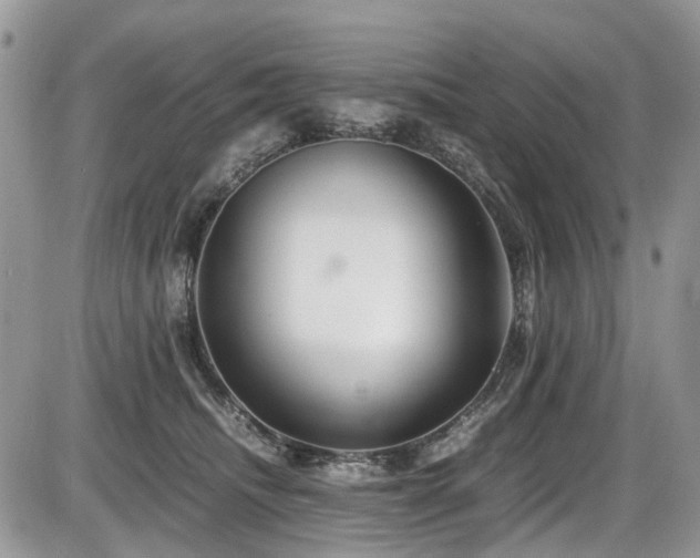 X0000086090468200703231435