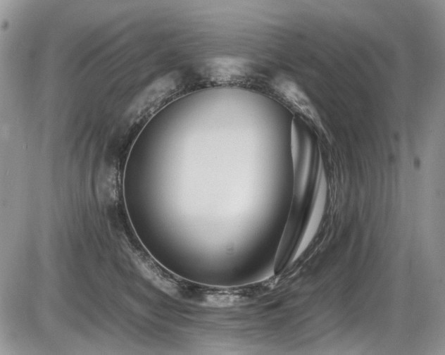 X0000086090470200703231435
