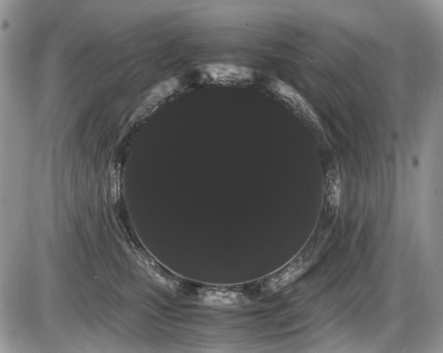 X0000086090471200703231435