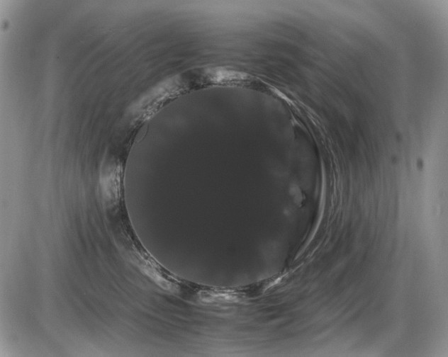 X0000086090475200703231435
