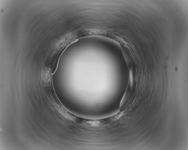 X0000086090478200703231435