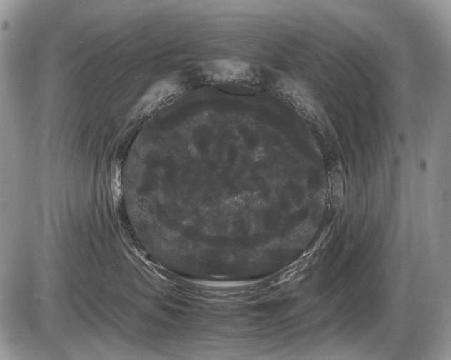 X0000086090479200703231435