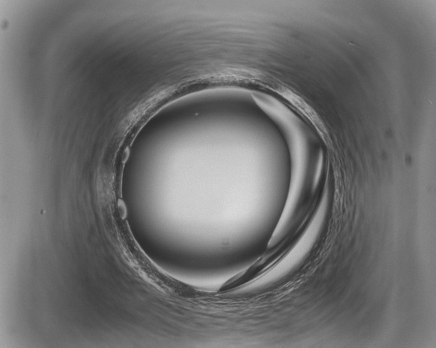 X0000086090485200703231434