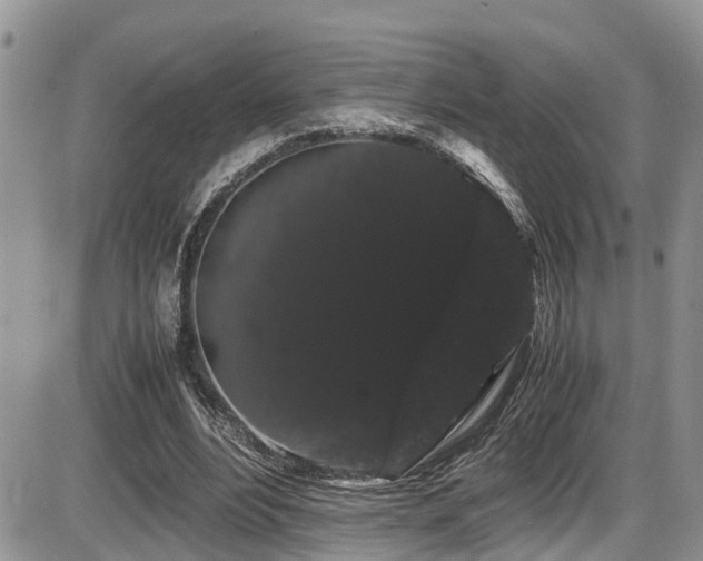 X0000086090488200703231434