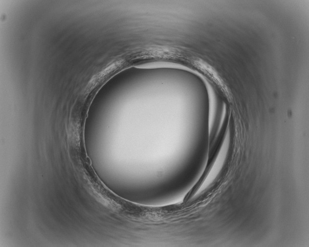 X0000086090489200703231434