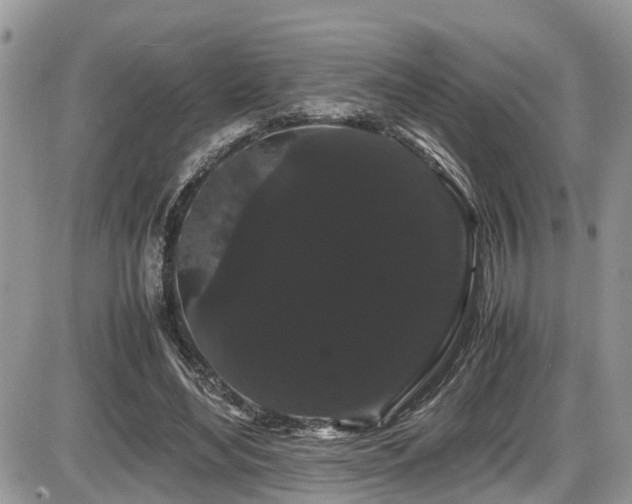 X0000086090492200703231434