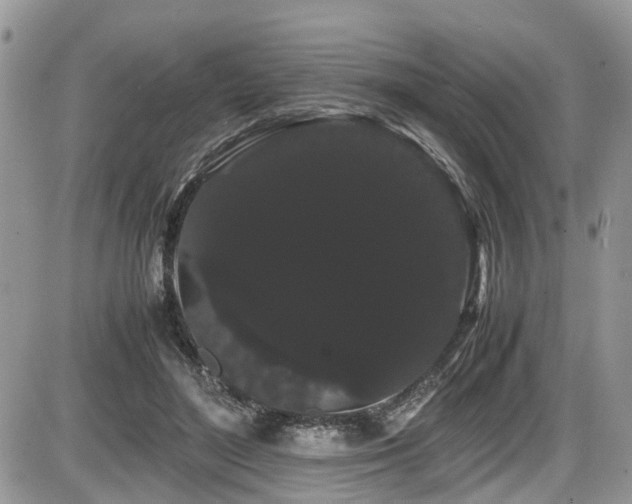 X0000086090500200703231434