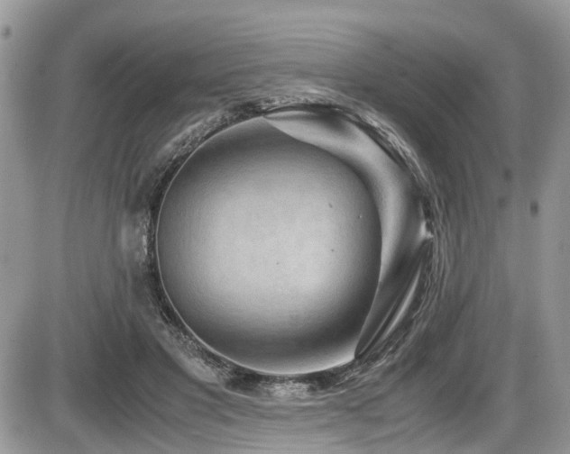 X0000086090501200703231434
