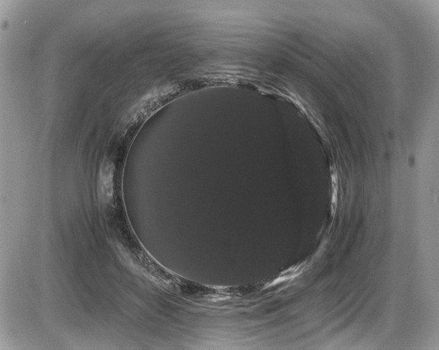 X0000086090504200703231434
