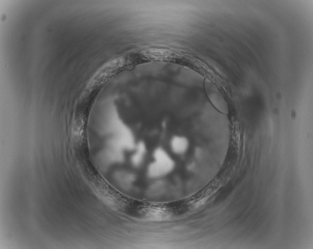 X0000086090507200703231434