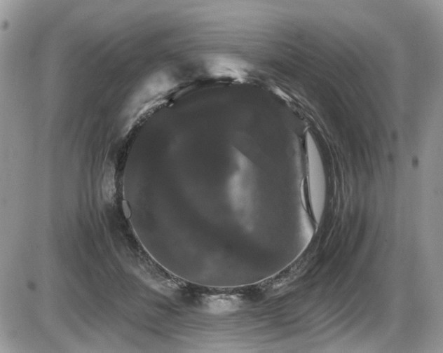 X0000086090508200703231434