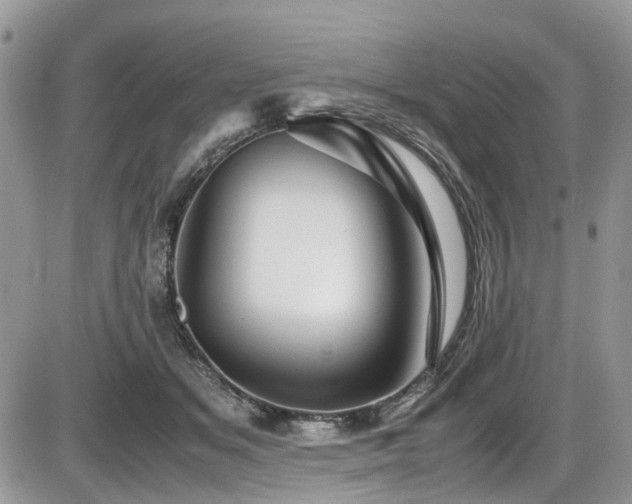 X0000086090509200703231434