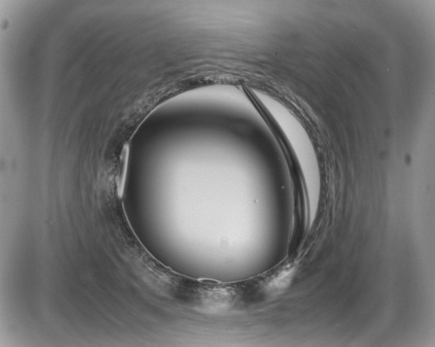 X0000086090513200703231433