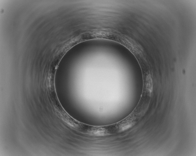 X0000086090514200703231433