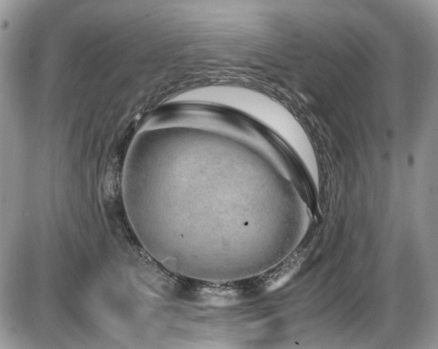 X0000086090515200703231433