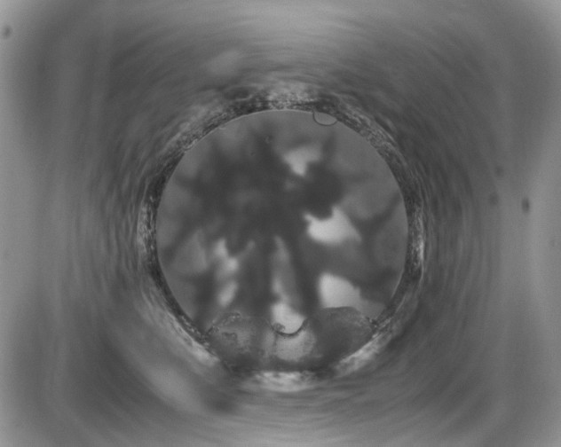 X0000086090519200703231433