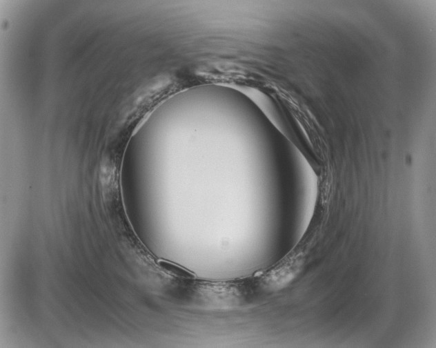 X0000086090521200703231433
