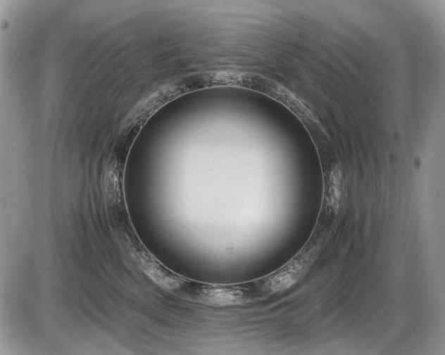 X0000086090522200703231433