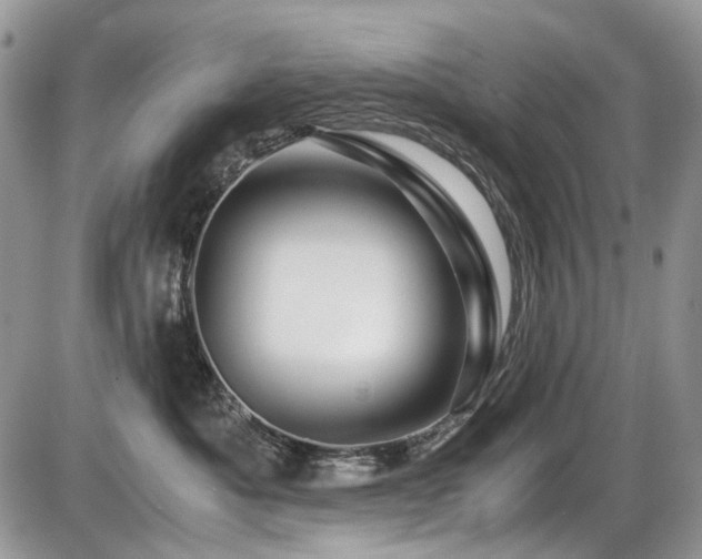 X0000086090525200703231433