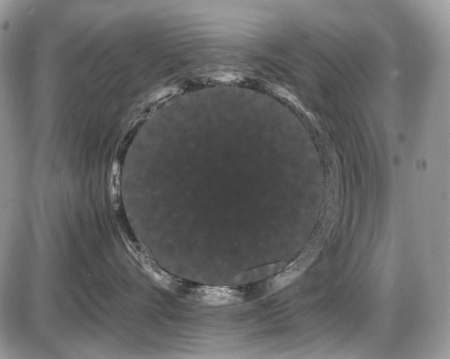 X0000086090528200703231433