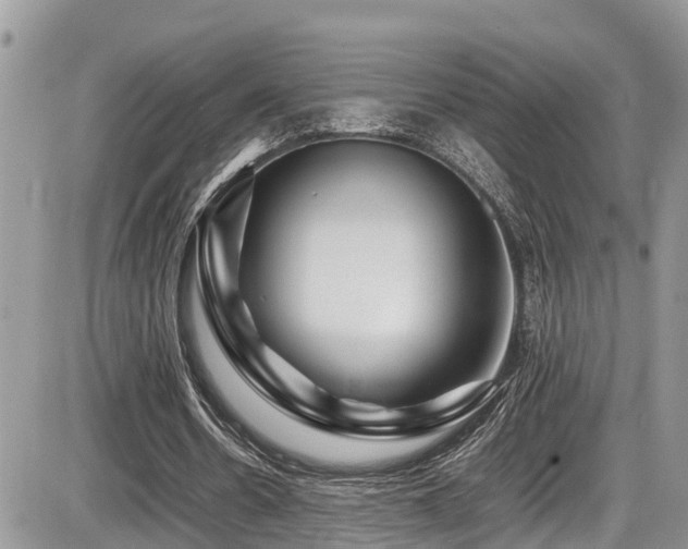 X0000086090530200703231432