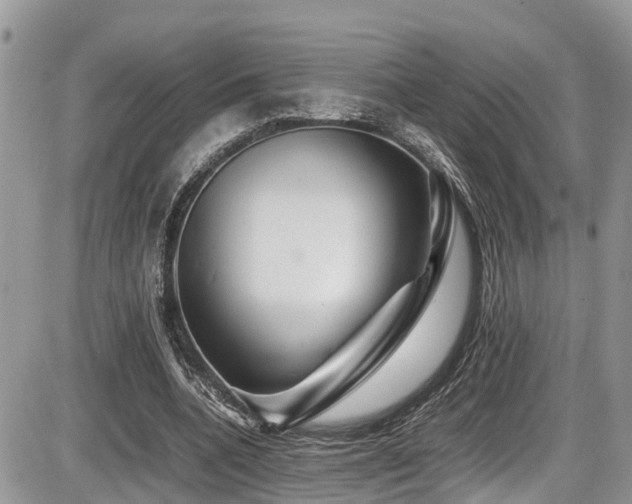 X0000086090536200703231433