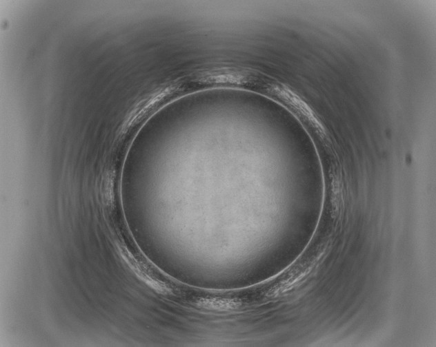X0000086090537200703231433