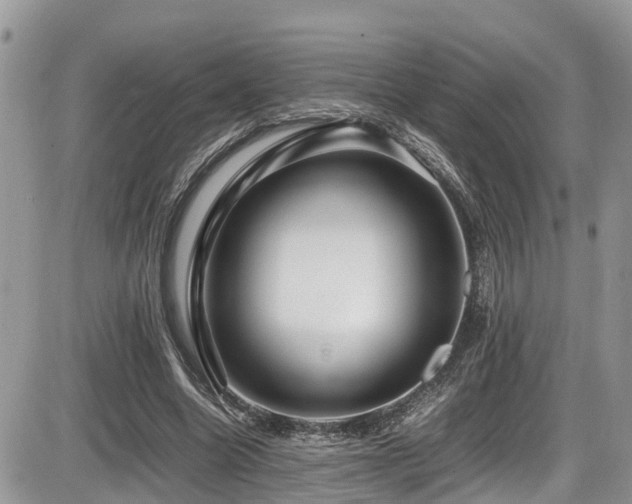 X0000086090538200703231433