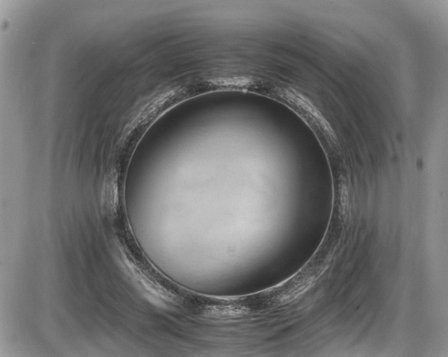 X0000086090541200703231433