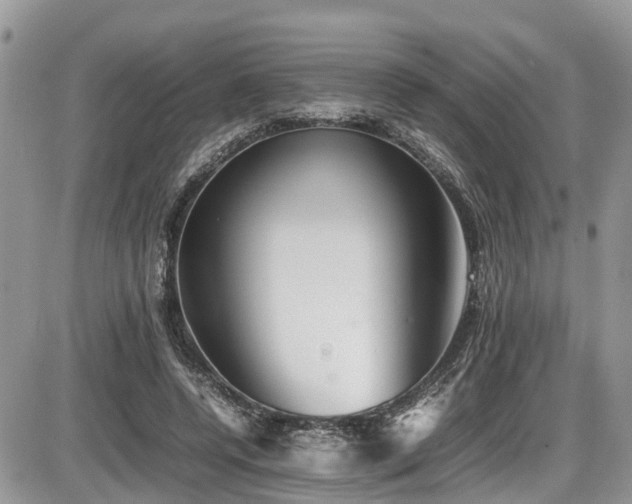 X0000086090544200703231433