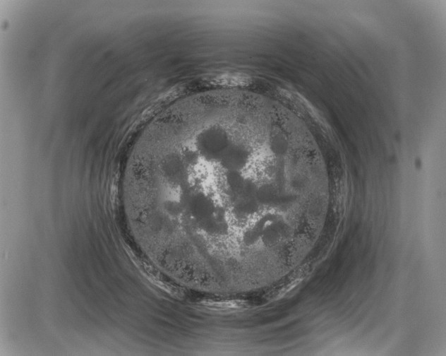 X0000086090553200703231433